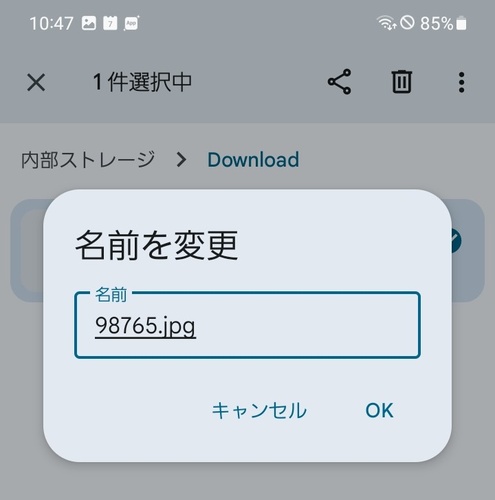 LOST.DIR内のファイルの名前を変更